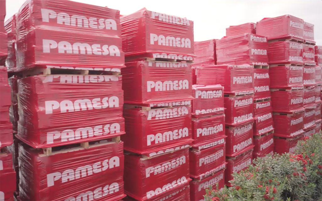 Pallets Wrapped with Stretch Hood 